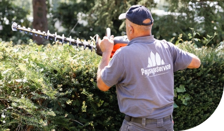 Entretien d'une haie par un technicien de Paysage Service