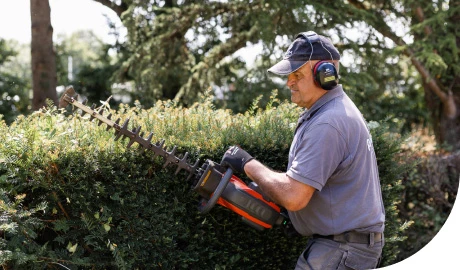 Entretien d'une haie par un technicien outillé d'un taille-haie