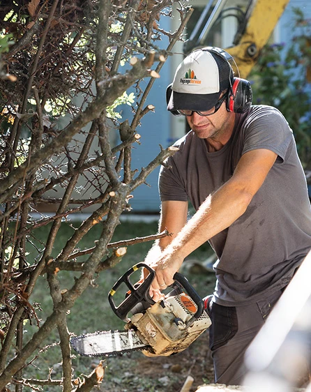 Technicien qui entretient une haie